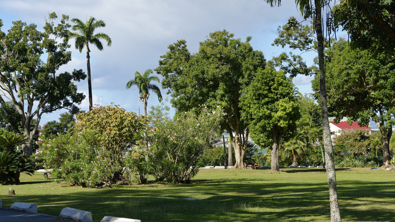 20190203-091730•Botanical Gardens•Roseau•Saint George•Dominica